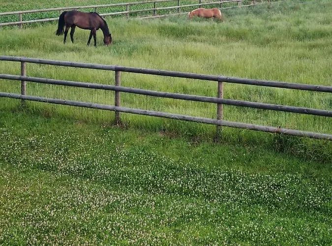 Gite La Frevalette Thiétreville